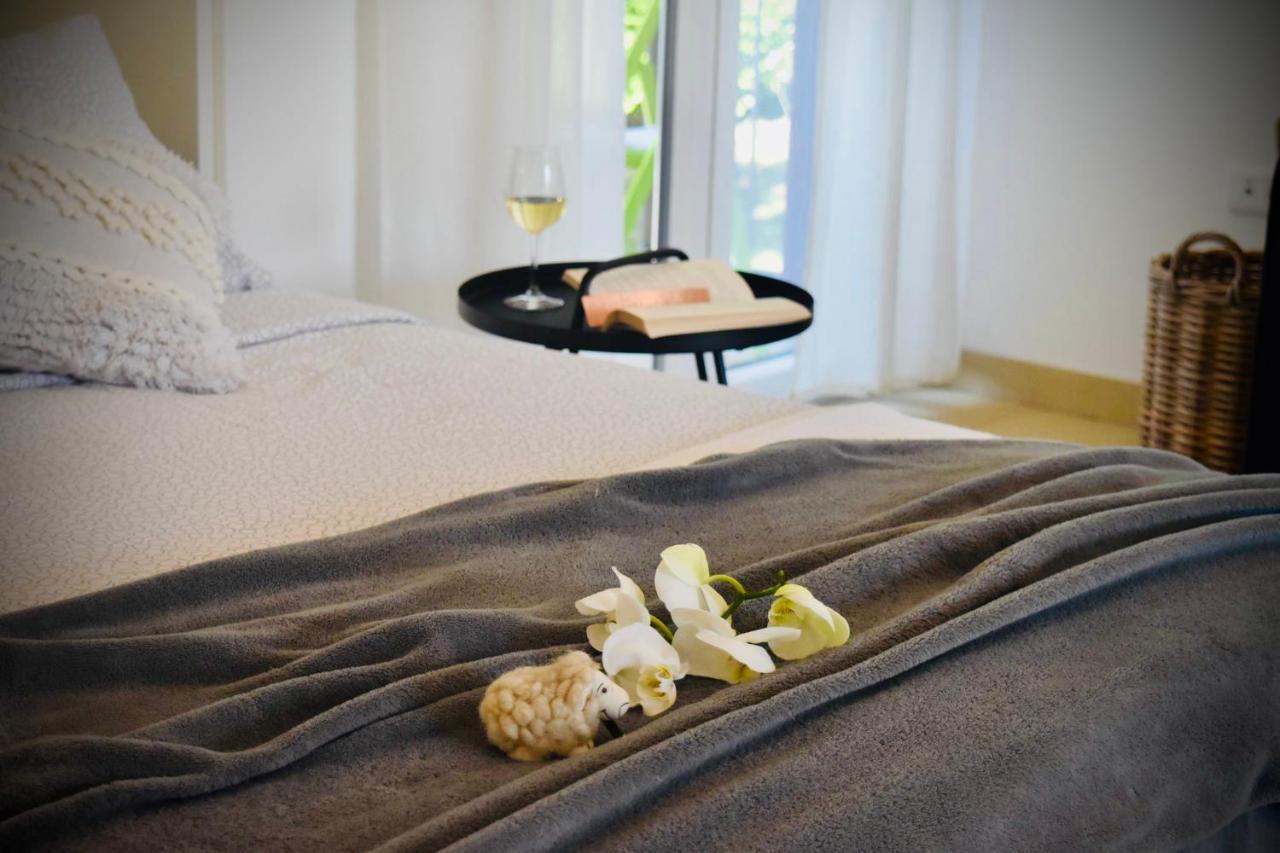 Studio Apartment Stazion With Free Parking パジン エクステリア 写真