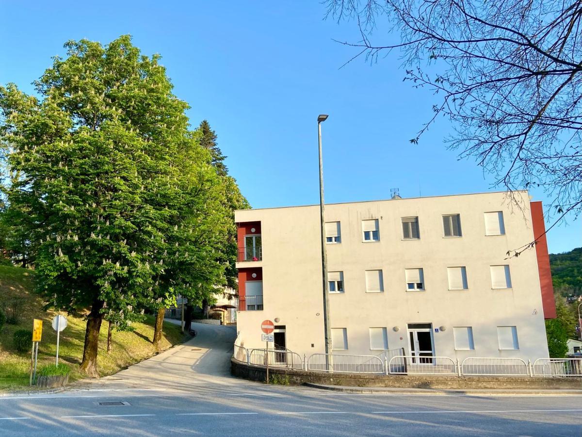 Studio Apartment Stazion With Free Parking パジン エクステリア 写真