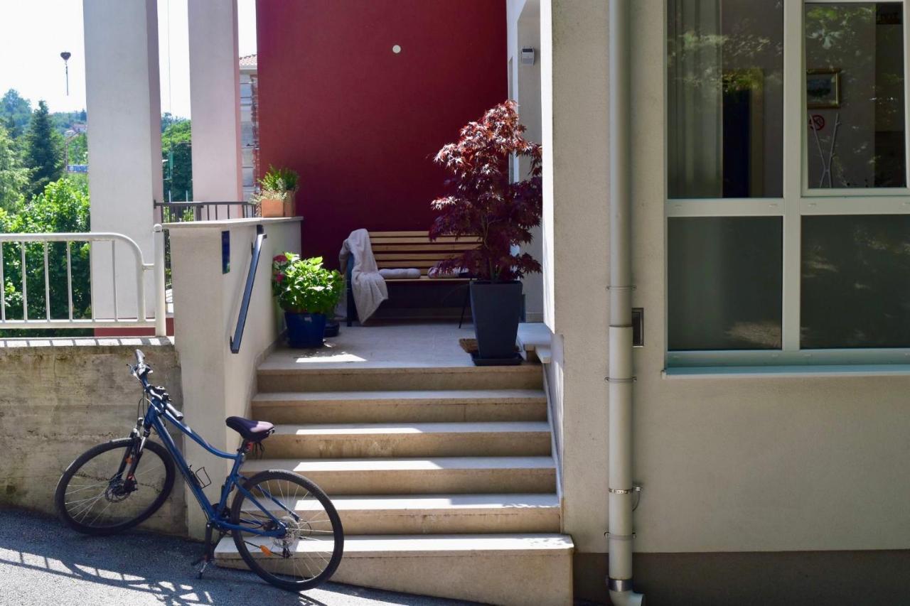 Studio Apartment Stazion With Free Parking パジン エクステリア 写真